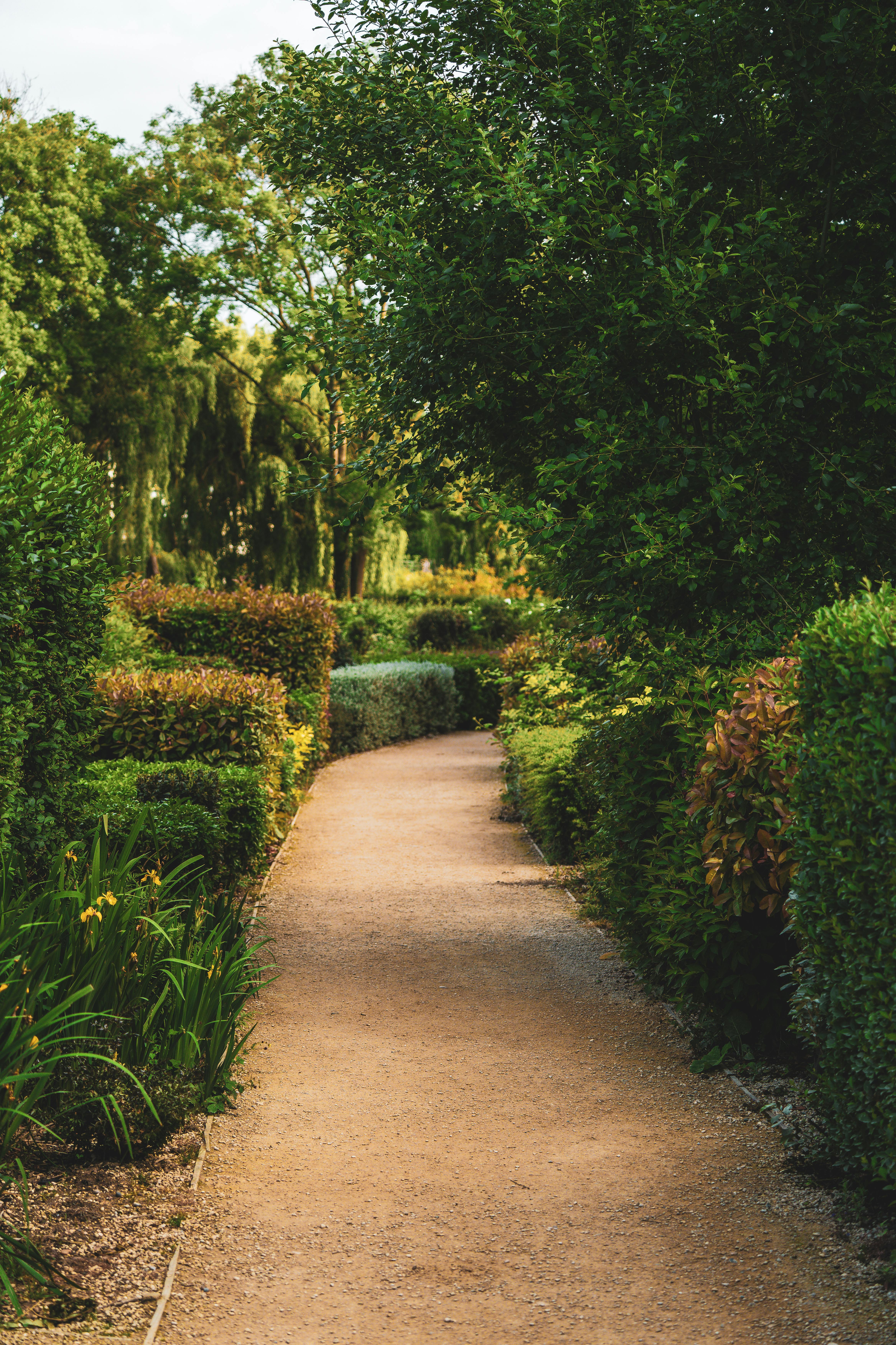 Professional landscaping work